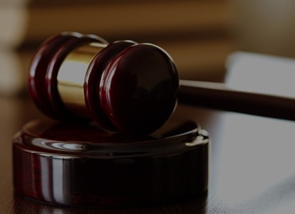 Civil and Constitutional Rights Litigation