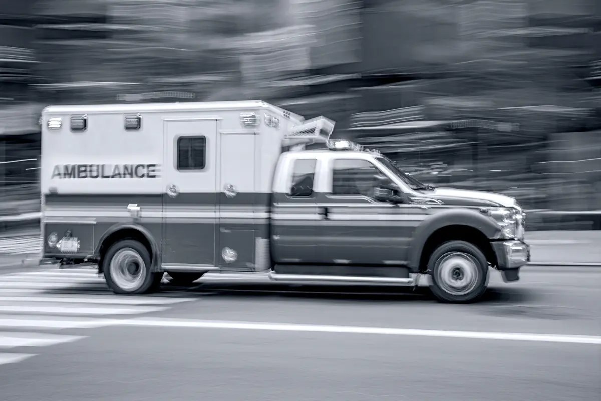 Adobestock 288951499